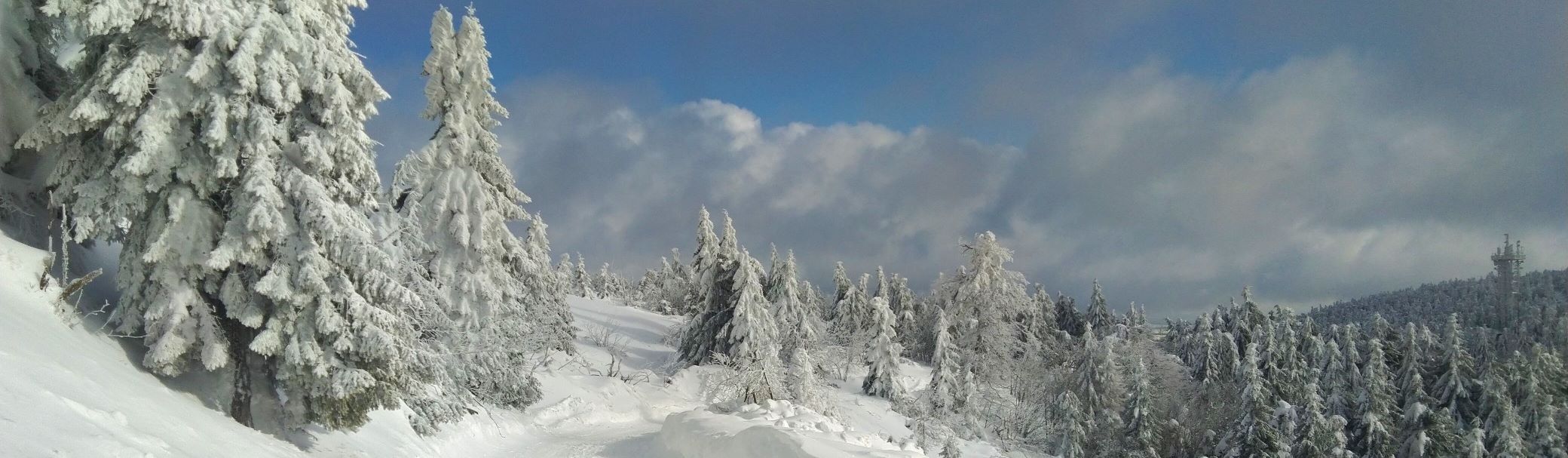 vse k vanocum fin